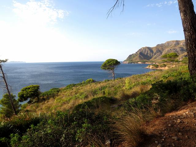 b0064411_04521442.jpg