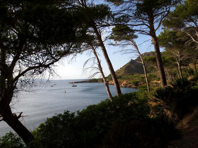b0064411_04562319.jpg