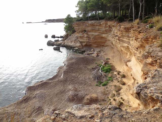 b0064411_04562378.jpg