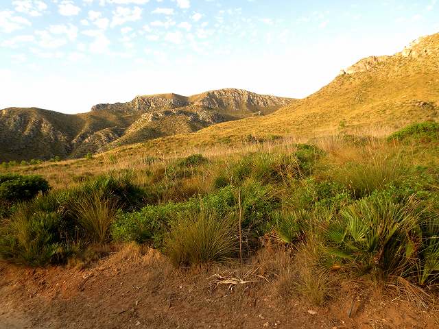 b0064411_05005532.jpg