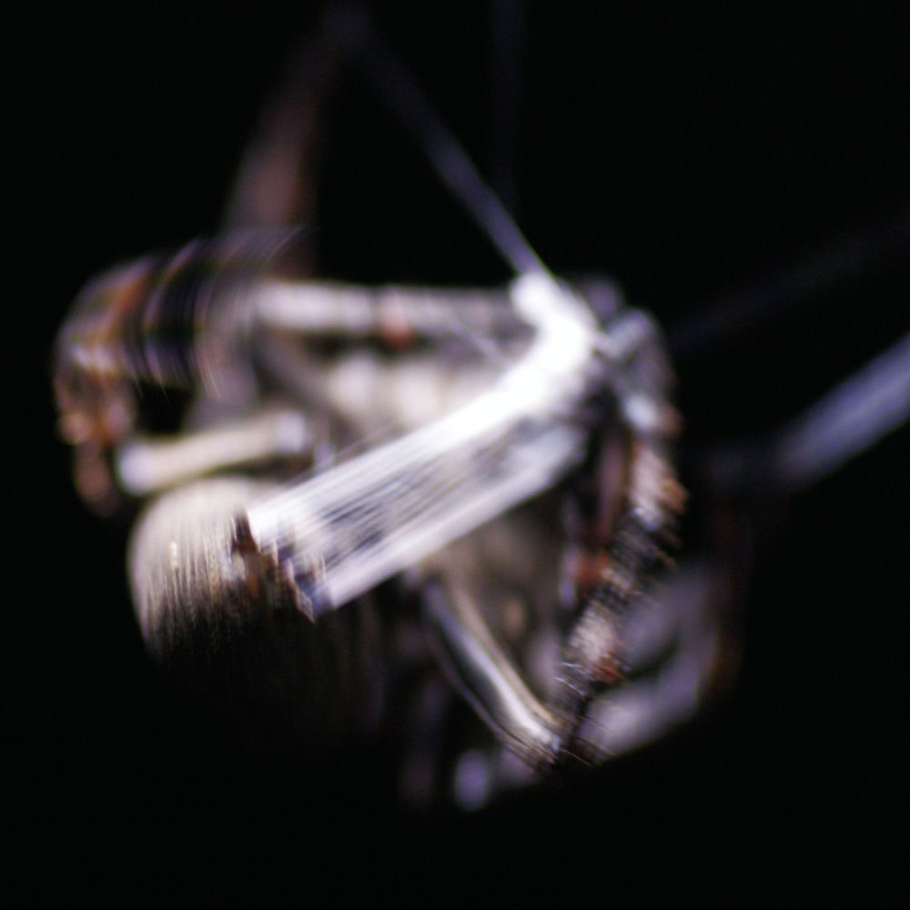 e0142611_08233430.jpg