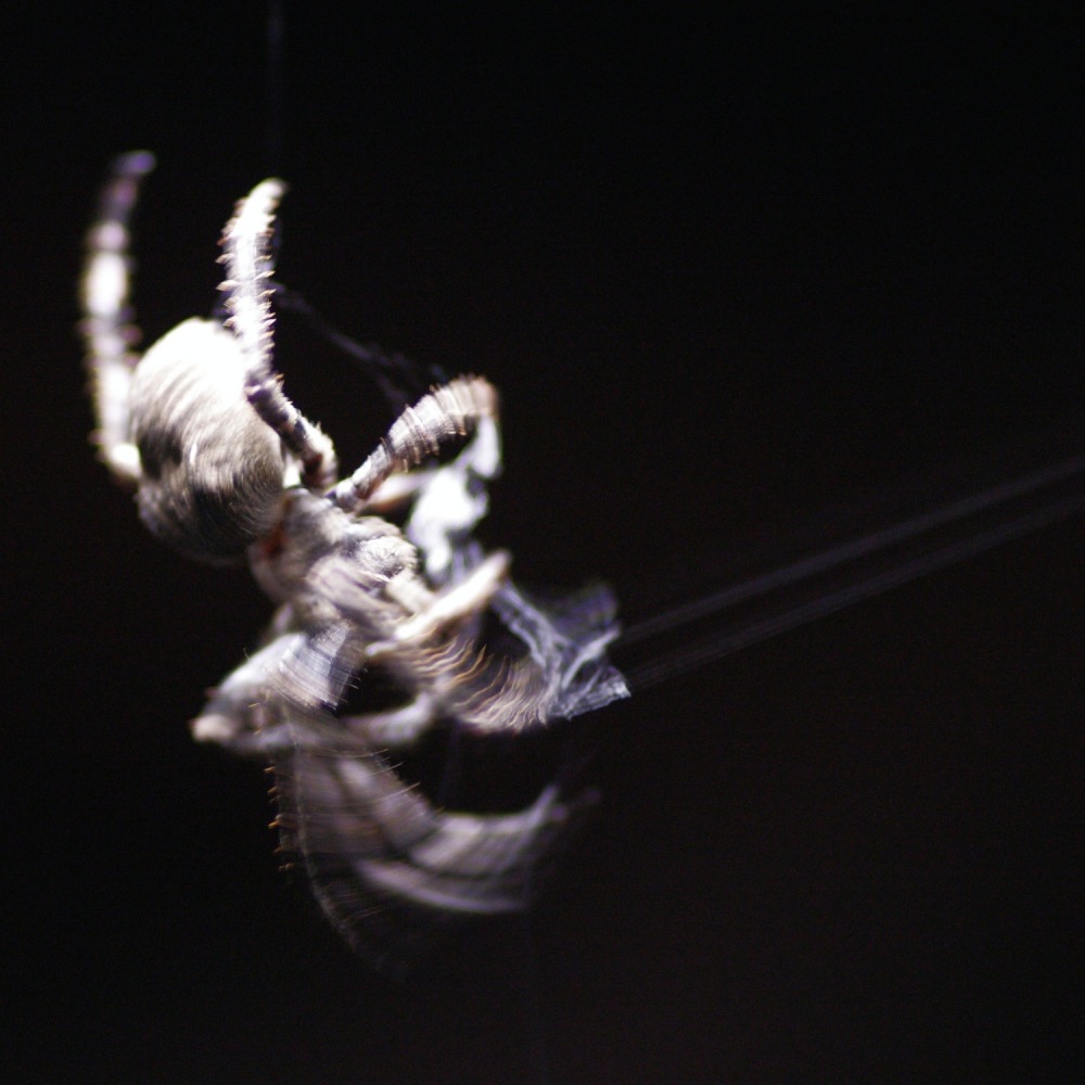 e0142611_08241349.jpg