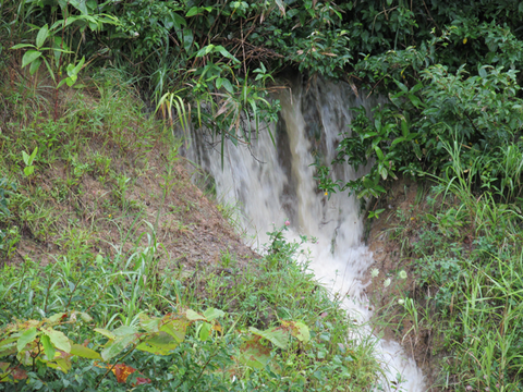 d0072917_19544799.png