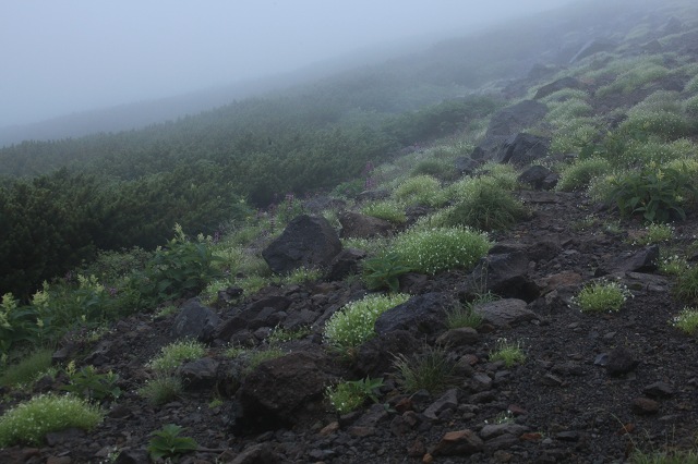 e0242721_15181470.jpg