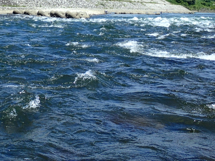 f0103126_23495338.jpg