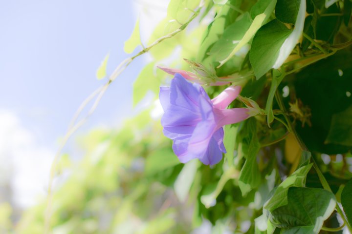 b0134829_2362160.jpg