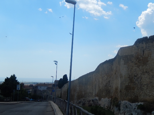 f0329429_04475947.jpg