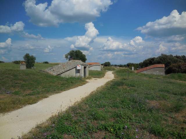 f0329429_15132277.jpg