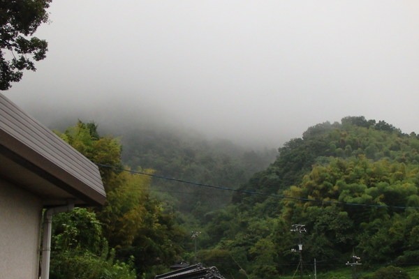 a0054240_0162264.jpg
