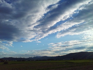 a0272241_173924.jpg