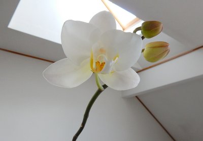a0142343_11542287.jpg