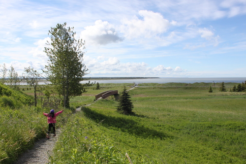 a0308646_13351399.jpg