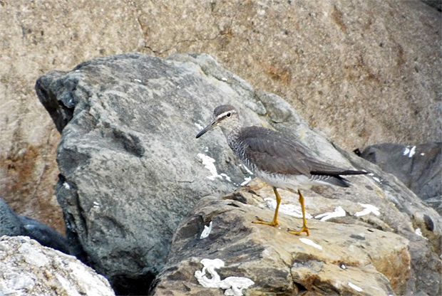 f0214649_11443133.jpg