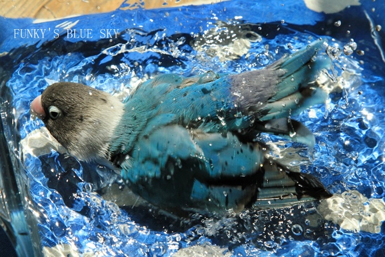 c0145250_10141010.jpg