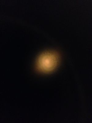 f0157058_13461853.jpg