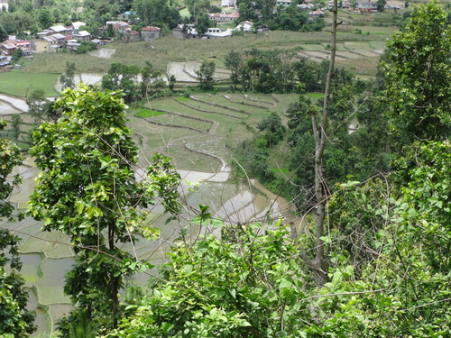 e0155370_2082383.jpg