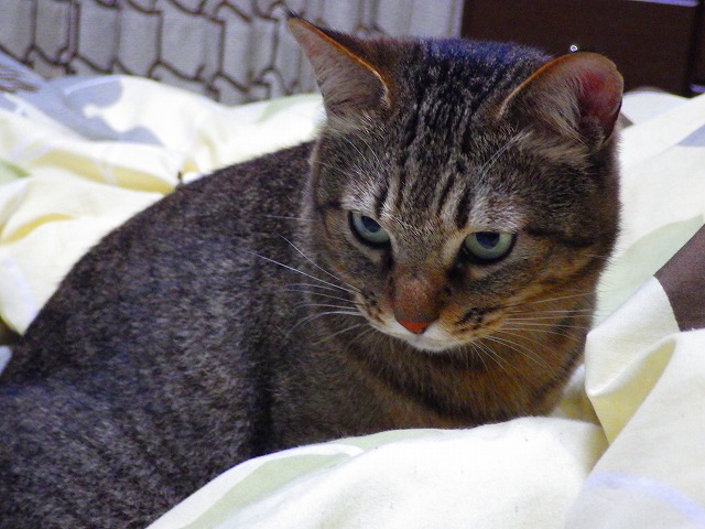 a0159490_14381743.jpg