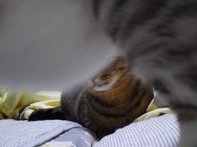 a0159490_14382696.jpg