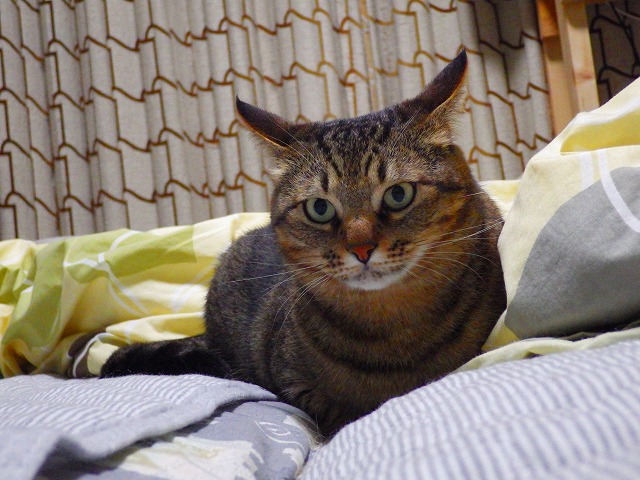 a0159490_14382933.jpg