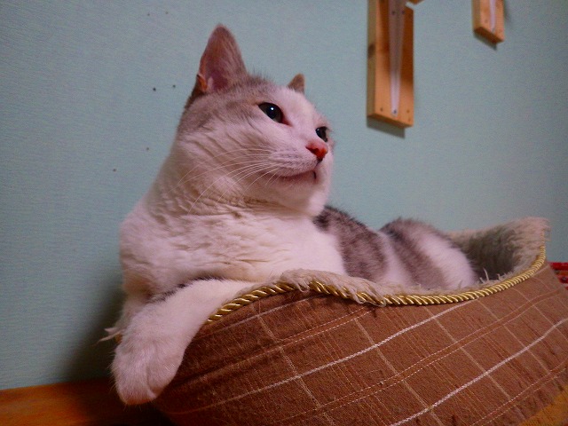 a0159490_15494480.jpg