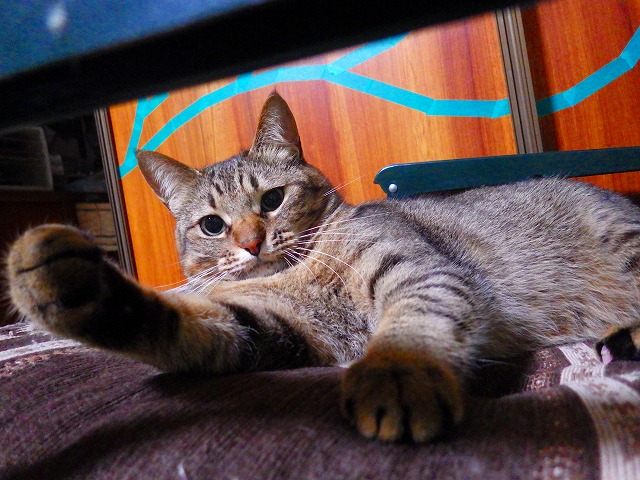 a0159490_164129.jpg
