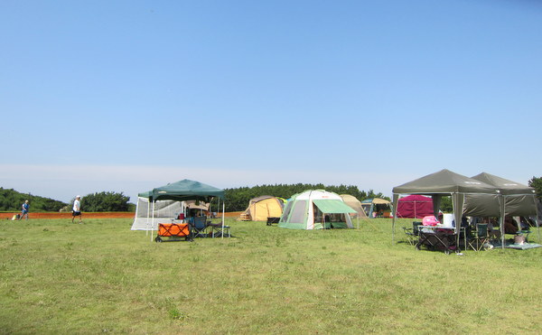 d0098295_22571396.jpg