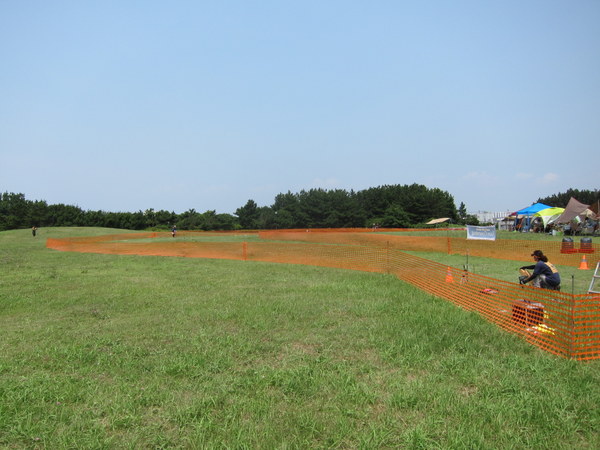 d0098295_239122.jpg