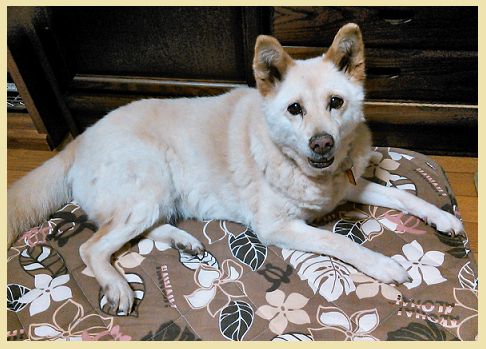 d0282395_22203240.png