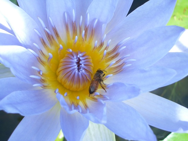 f0346196_09342454.png