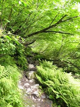d0032405_22324571.jpg