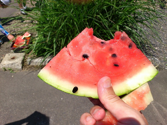 f0100911_17313648.jpg
