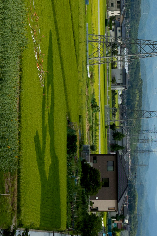 a0278914_5444645.jpg