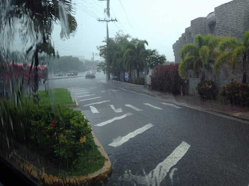 b0002914_21322924.jpg