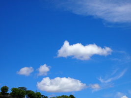 c0188928_0161130.jpg