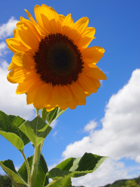 c0188928_0203177.jpg