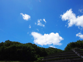 c0188928_029445.jpg