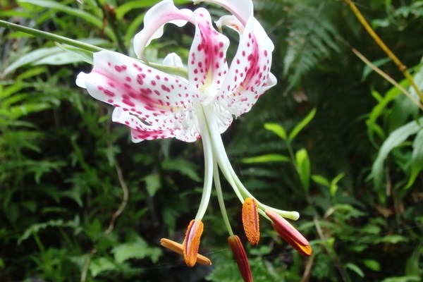 a0054240_21123226.jpg