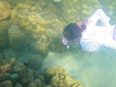 d0148244_7415432.jpg