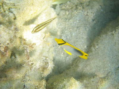 d0148244_7433692.jpg