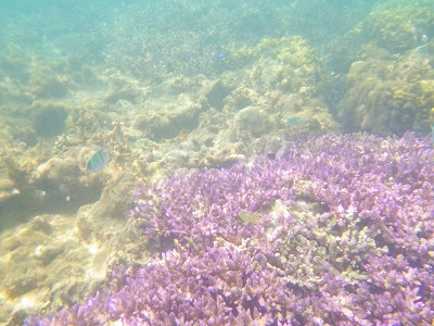d0148244_7443045.jpg