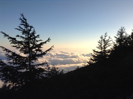 c0190847_23431459.jpg
