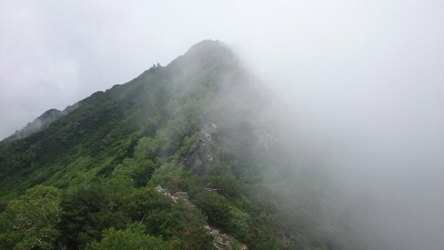 b0148050_833562.jpg