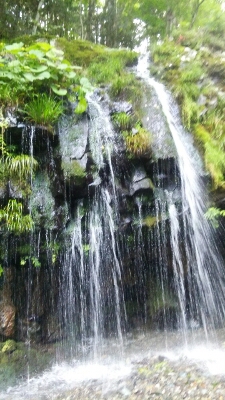 b0253057_8213482.jpg