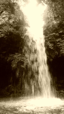 b0253057_8281937.jpg