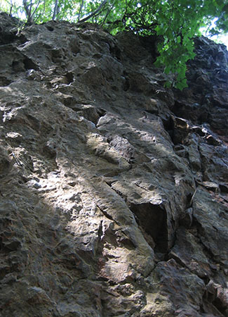 f0009457_012069.jpg