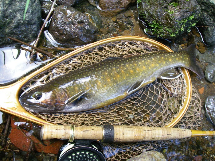 f0212059_21521572.jpg