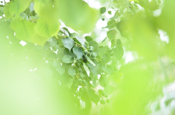 f0297861_2142213.jpg