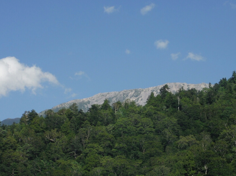 b0304662_06135819.jpg