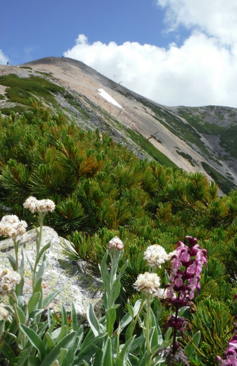 b0304662_07005140.jpg