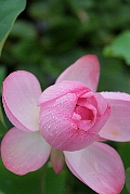 f0035962_20541173.jpg